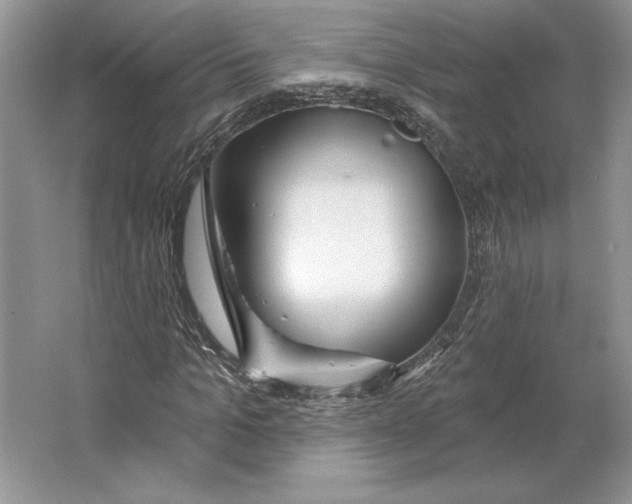 X0000064760965200603031755