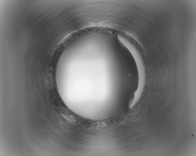 X0000064760968200603031755