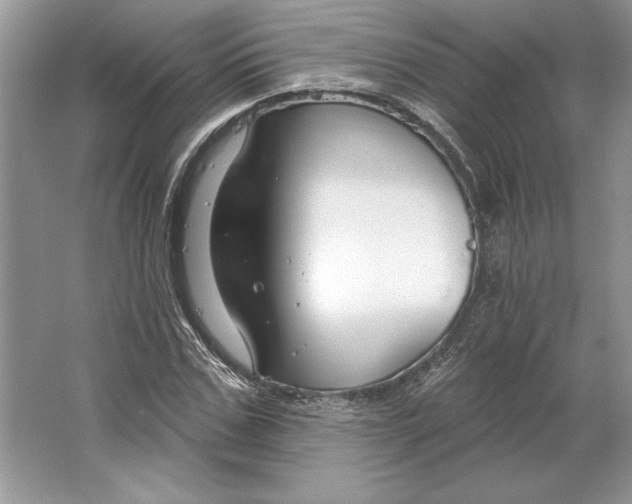 X0000064760971200603031755