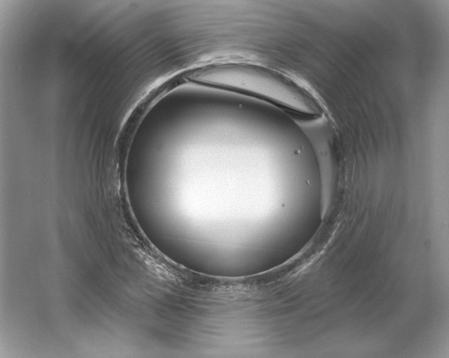 X0000064760973200603031755