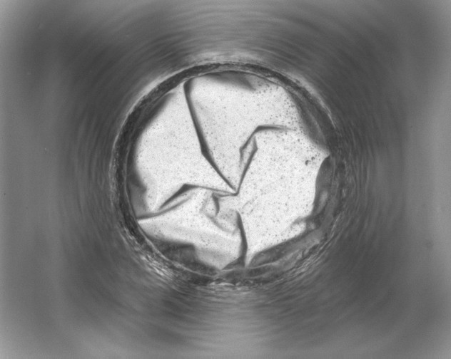 X0000064760975200603031755