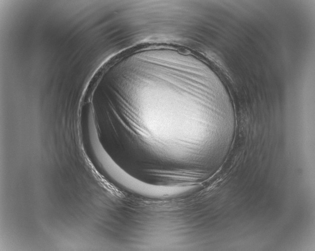 X0000064760976200603031755
