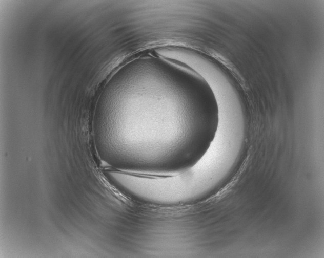 X0000064760977200603031755