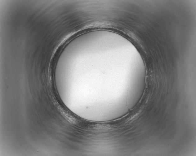 X0000064760981200603031755