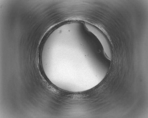 X0000064760984200603031755