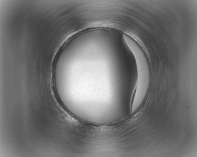 X0000064760992200603031755