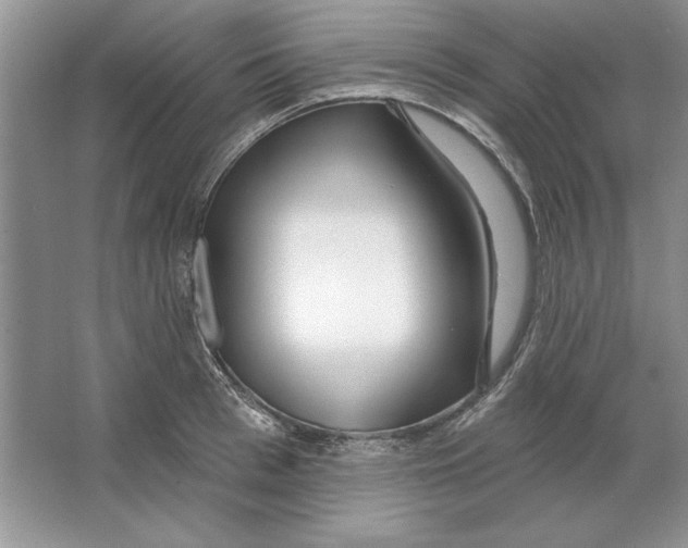 X0000064760993200603031755