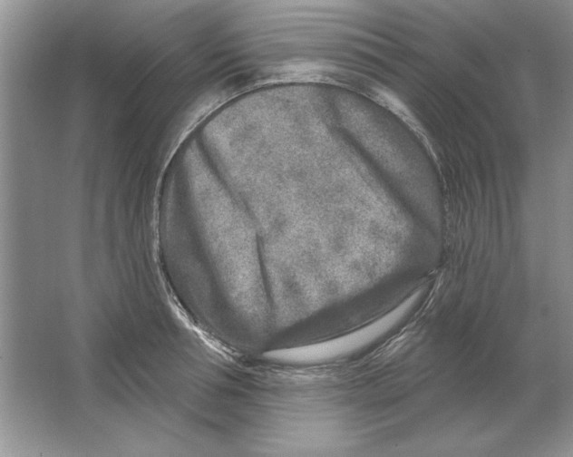 X0000064760994200603031754