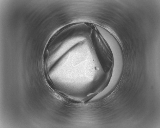 X0000064760996200603031754
