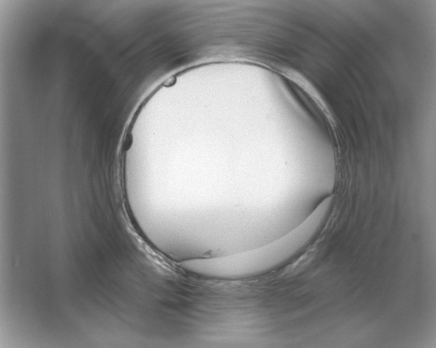 X0000064761004200603031754