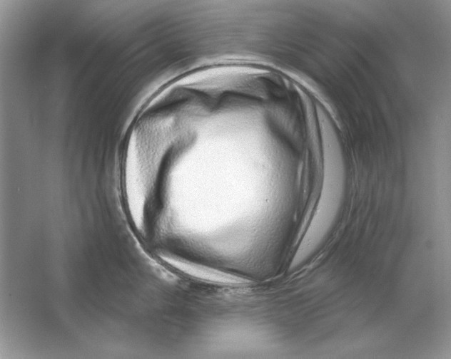X0000064761006200603031754