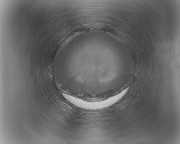 X0000064761010200603031753
