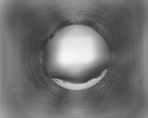 X0000064761012200603031753