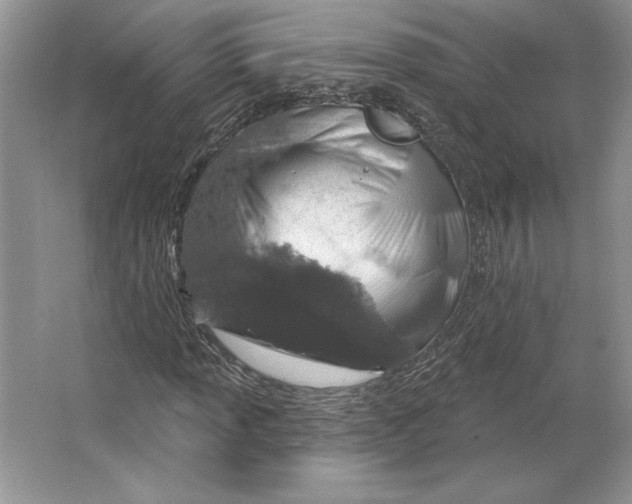 X0000064761013200603031754