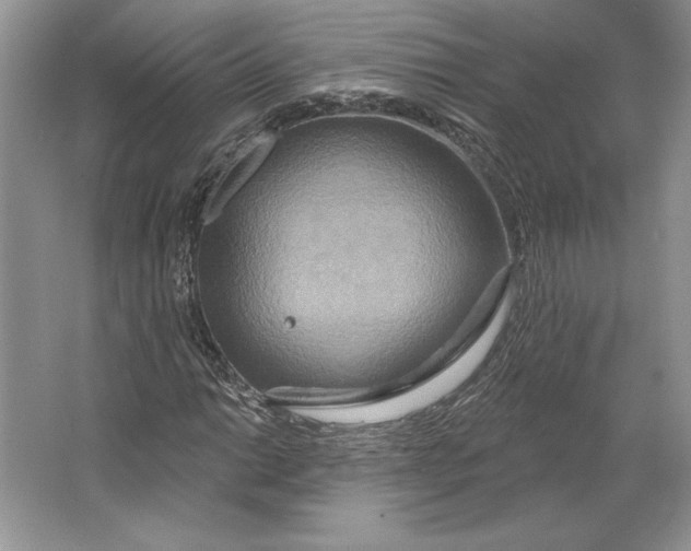 X0000064761014200603031754