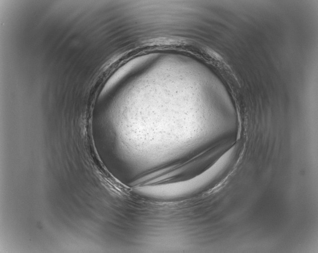 X0000064761017200603031754