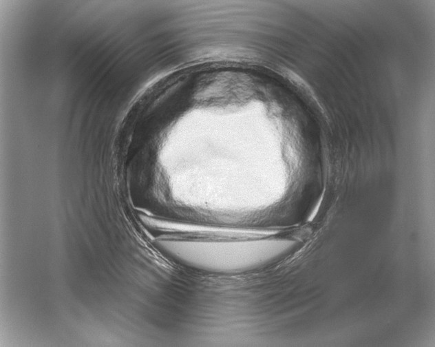 X0000064761019200603031754