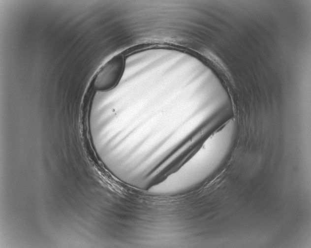 X0000064761020200603031754
