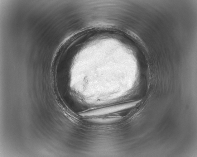 X0000064761027200603031754
