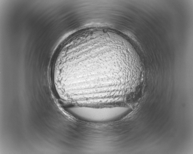 X0000064761030200603031754