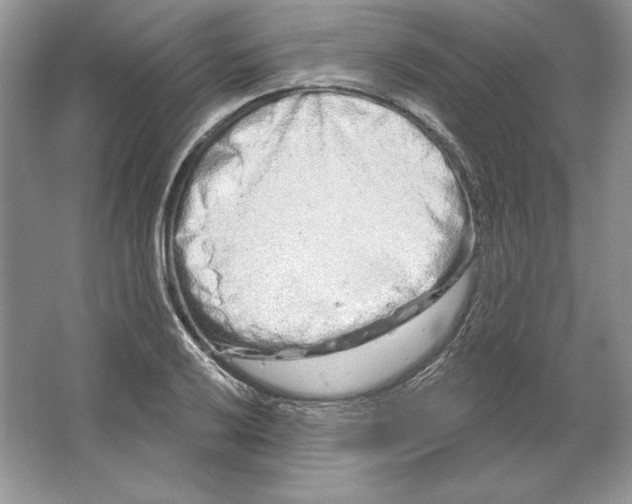 X0000064761032200603031754