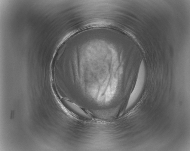 X0000064761034200603031754