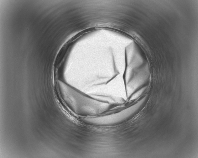 X0000064761036200603031754