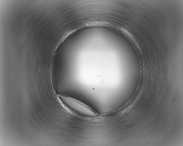 X0000064761041200603031754