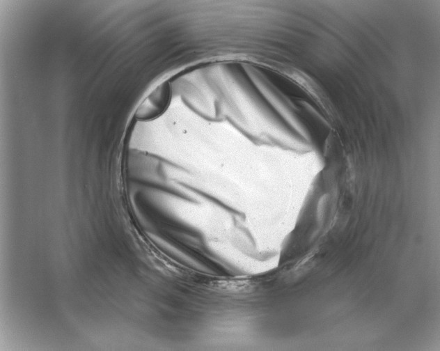 X0000064761052200603031754