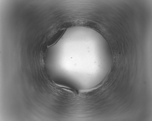 X0000064761058200603031753