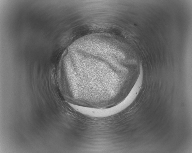 X0000064761059200603031753
