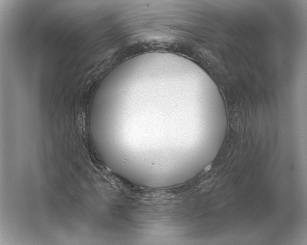 X0000064761061200603031753