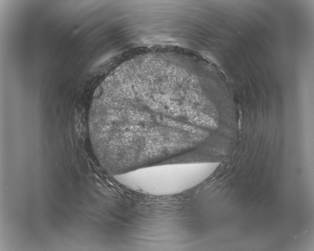 X0000064761063200603031753