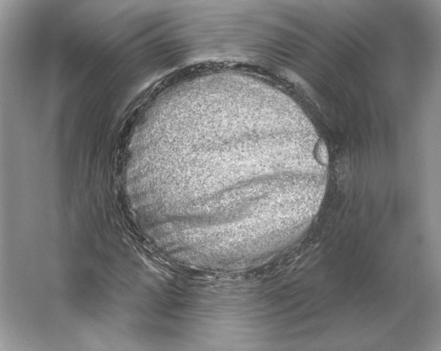 X0000064761064200603031753