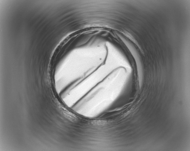 X0000064761068200603031753