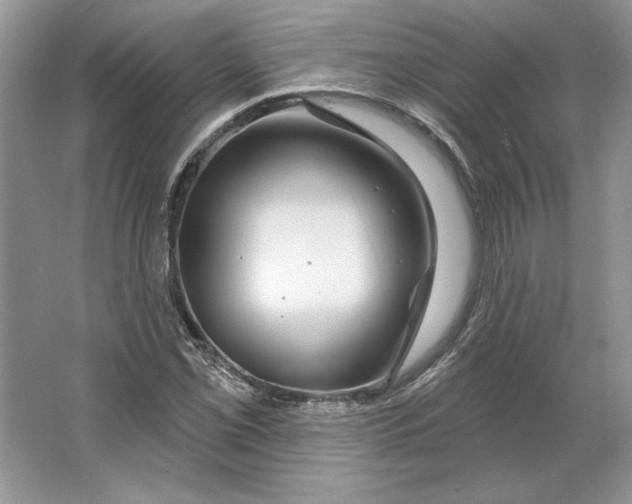 X0000064761069200603031753