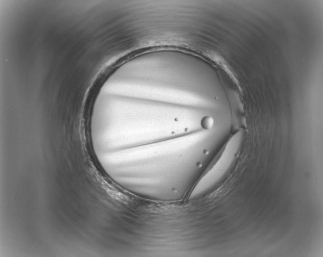 X0000064761072200603031753