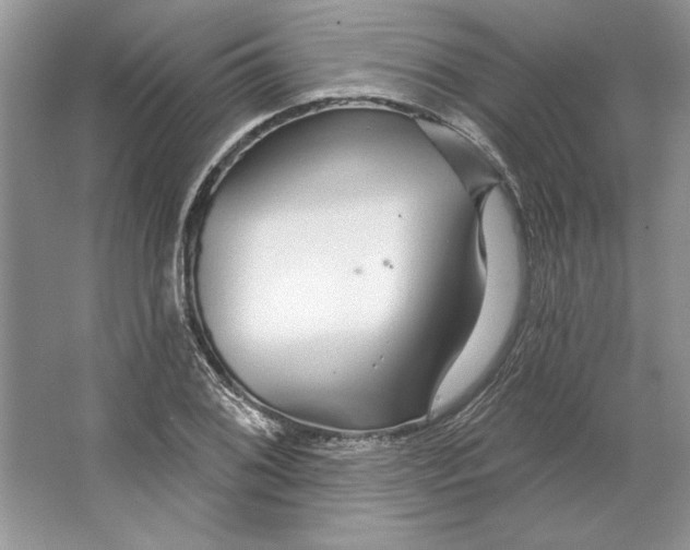 X0000064761076200603031753