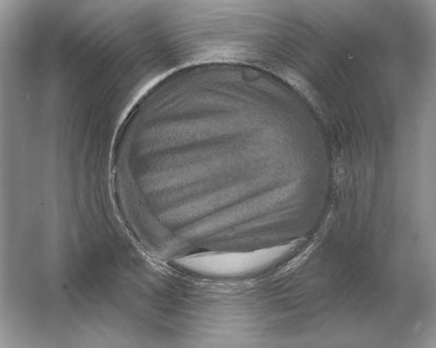 X0000064761077200603031753