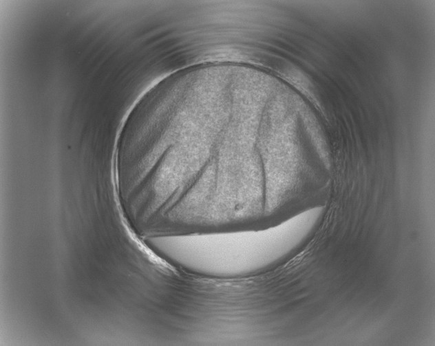 X0000064761084200603031753