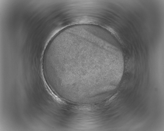 X0000064761086200603031753