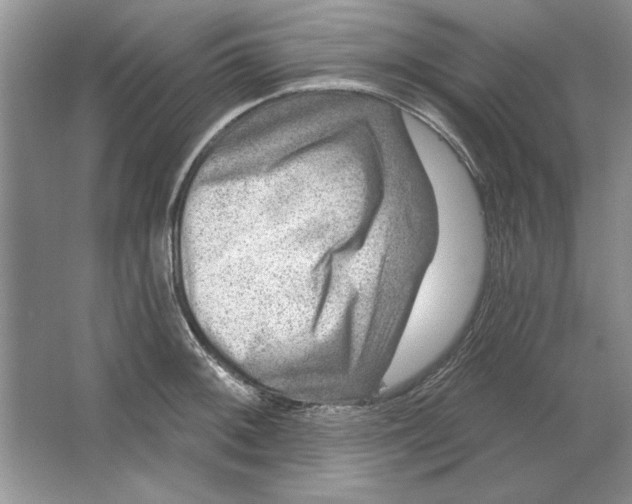 X0000064761092200603031753