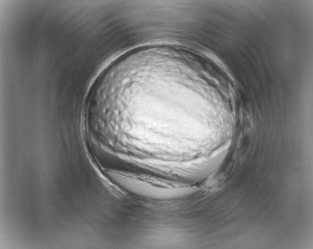 X0000064761101200603031753