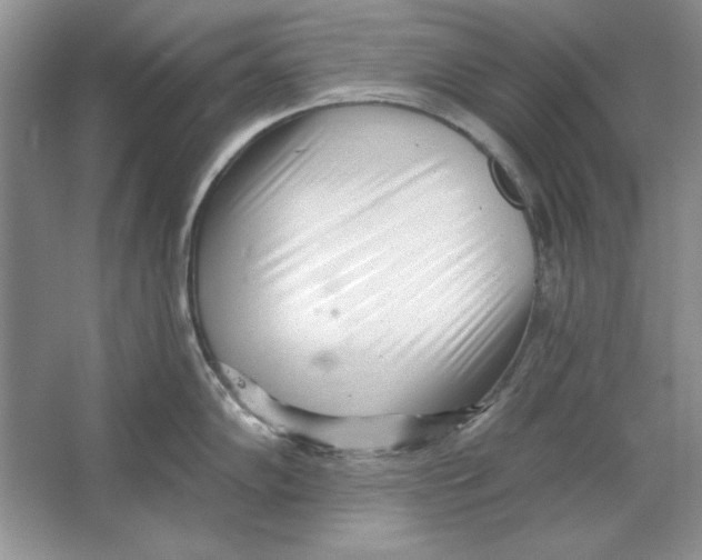 X0000064761102200603031753