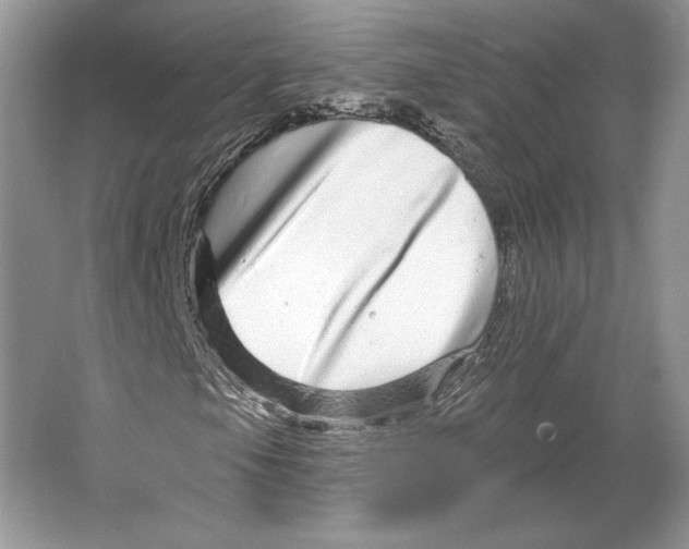 X0000064761105200603031752