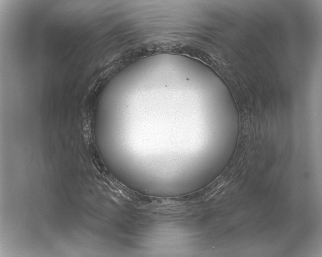 X0000064761109200603031752
