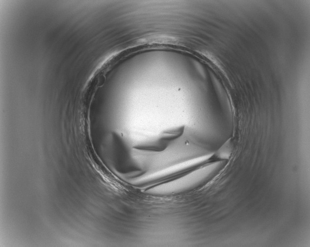 X0000064761115200603031752