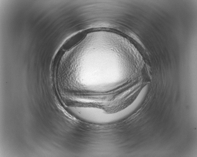 X0000064761116200603031752