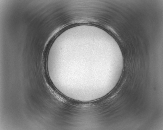 X0000064761122200603031752