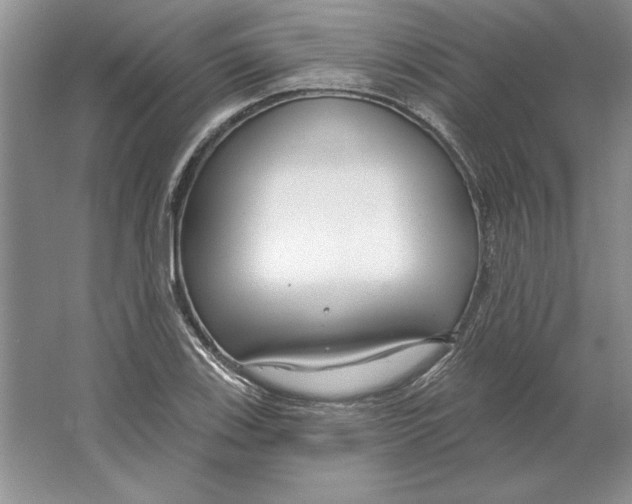X0000064761123200603031752
